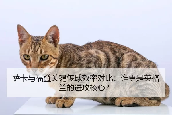 萨卡与福登关键传球效率对比：谁更是英格兰的进攻核心？