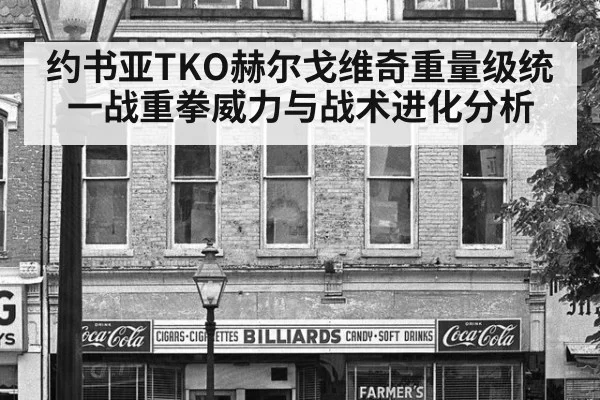 约书亚TKO赫尔戈维奇重量级统一战重拳威力与战术进化分析
